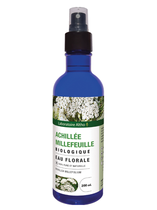 Achillée millefeuille bio