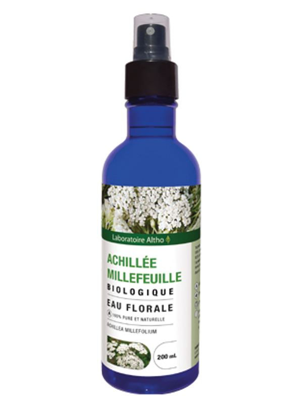 Achillée millefeuille bio