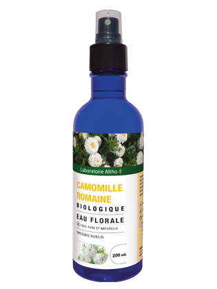 Camomille romaine bio