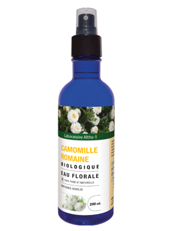 Camomille romaine bio