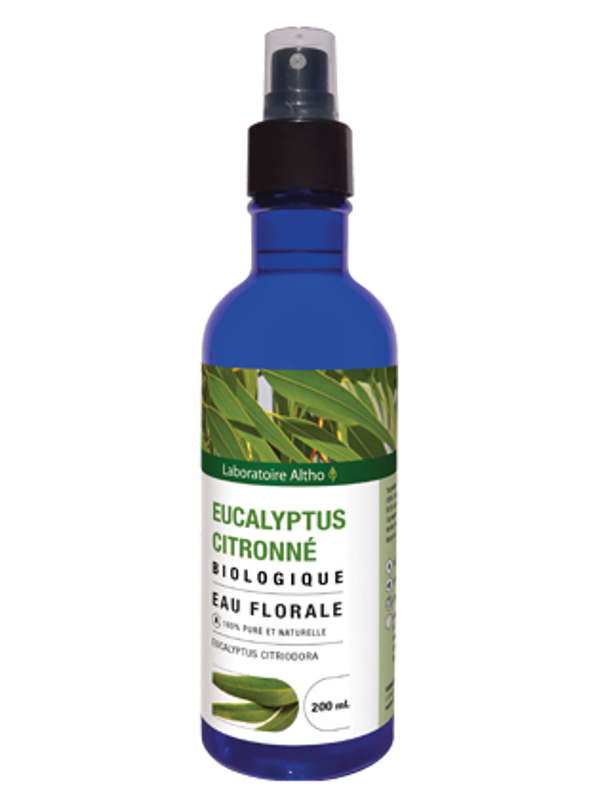 Eucalyptus citronné bio