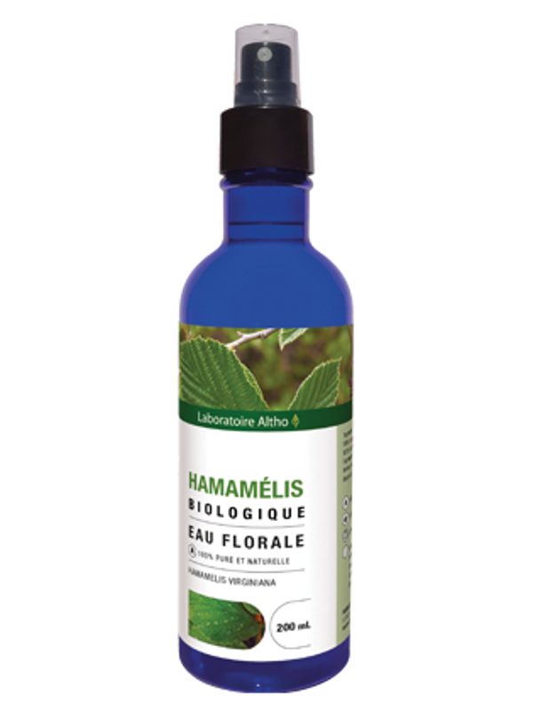 Hamamélis bio