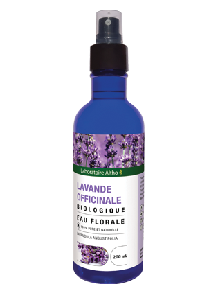Lavande officinale bio