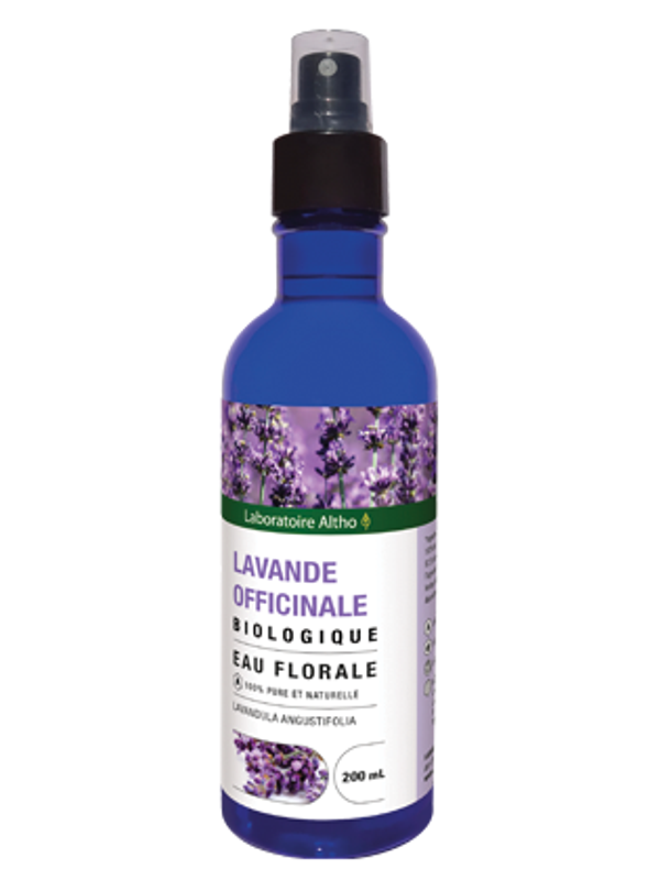 Lavande officinale bio