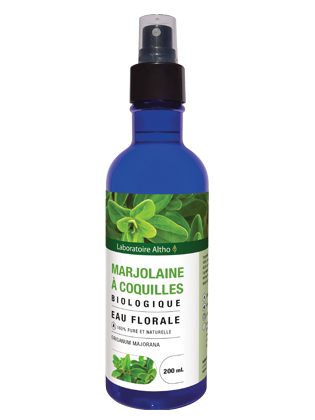 Marjolaine à coquilles bio