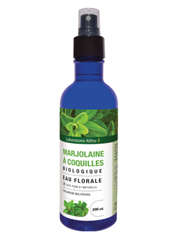 Marjolaine à coquilles bio