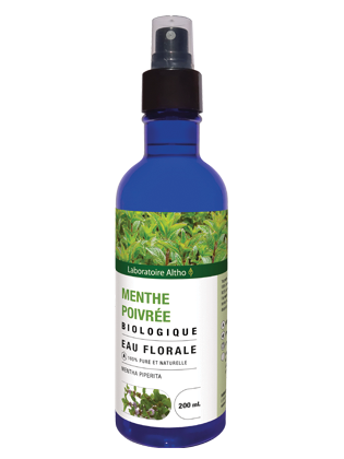 Menthe poivrée bio