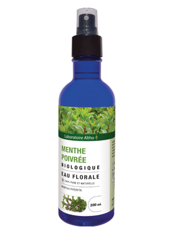 Menthe poivrée bio