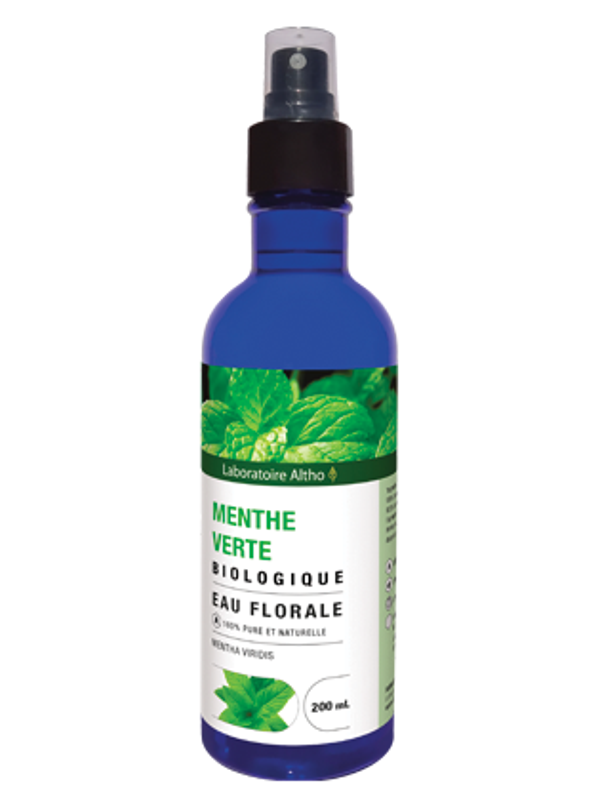 Menthe verte bio