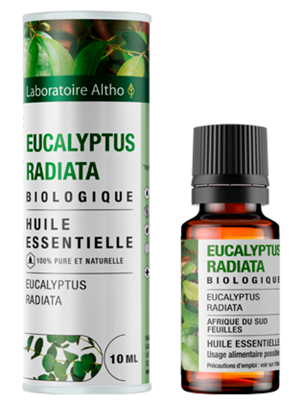 Eucalyptus radiata bio - 30 mL