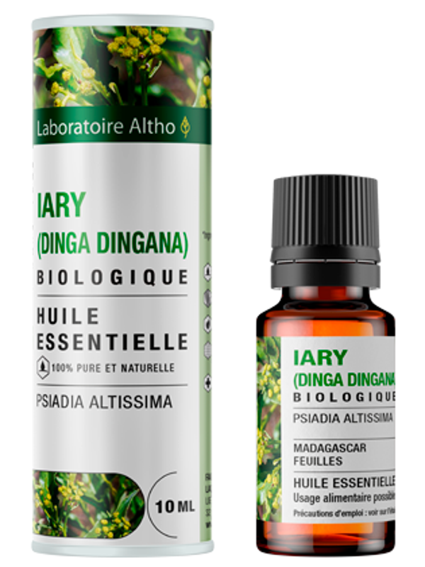 Iary bio (Dinga dingana) - 10 mL