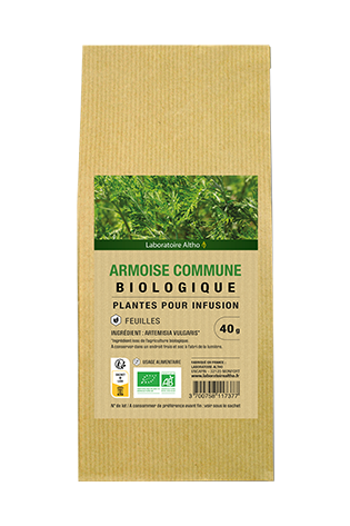 Armoise commune bio