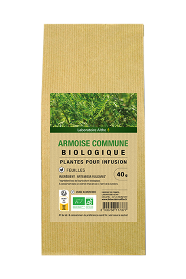 Armoise commune bio