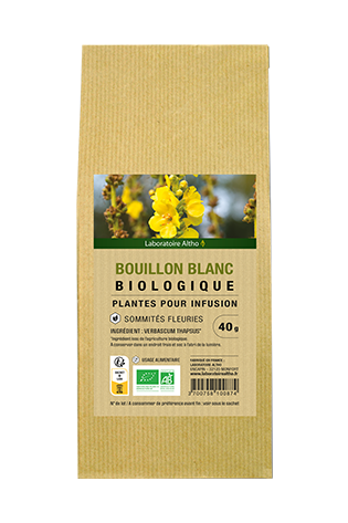 Bouillon blanc bio