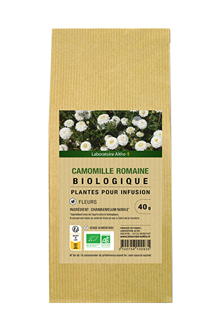 Camomille romaine bio