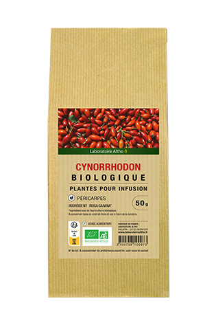 Cynorrhodon bio