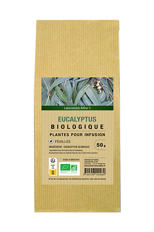 Eucalyptus bio