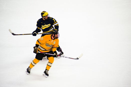 Hockey Action