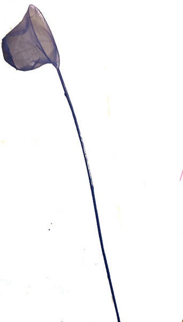 Schepnet blauw