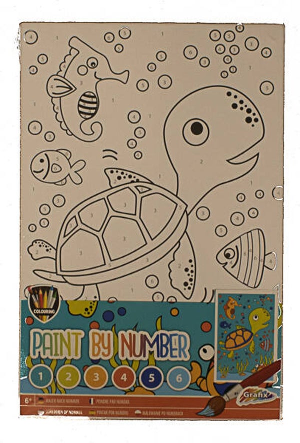Schilderen op nummer (schildpad)