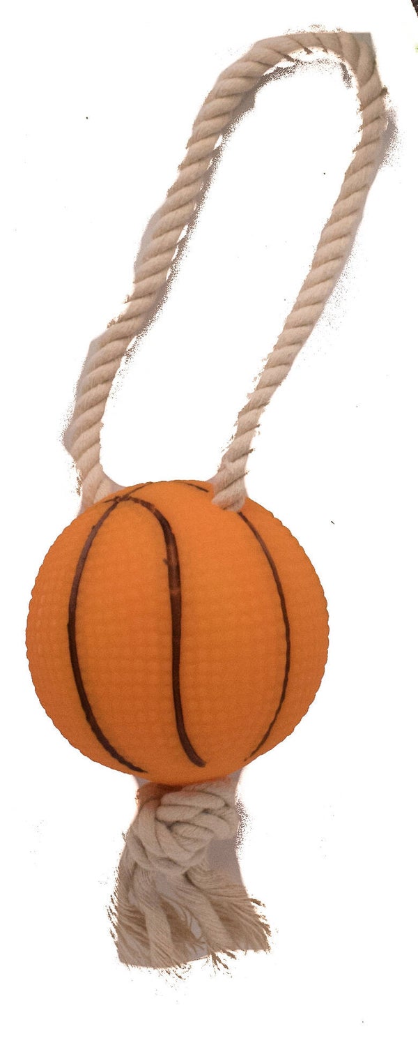 Touw met basketbal
