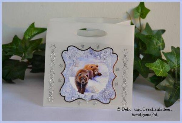 Foliengeschenktasche   cs780