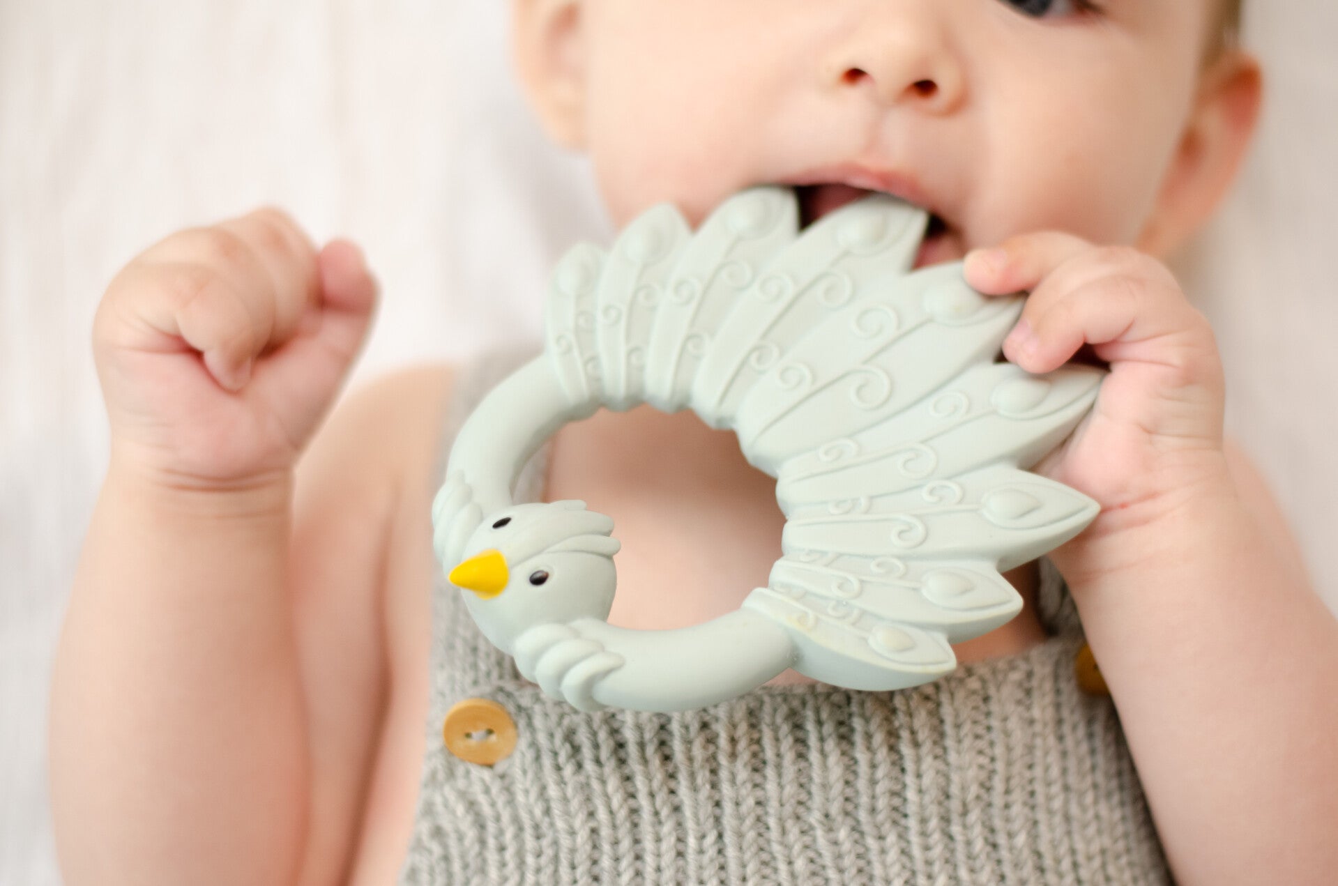 bijtring pauw lichtblauw