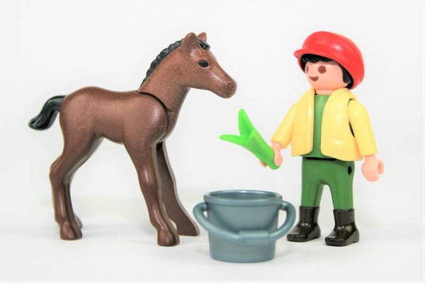 Playmobil Jongen met veulen 4647