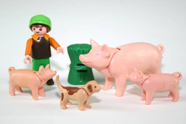 Playmobil Jongen met varkens 4969