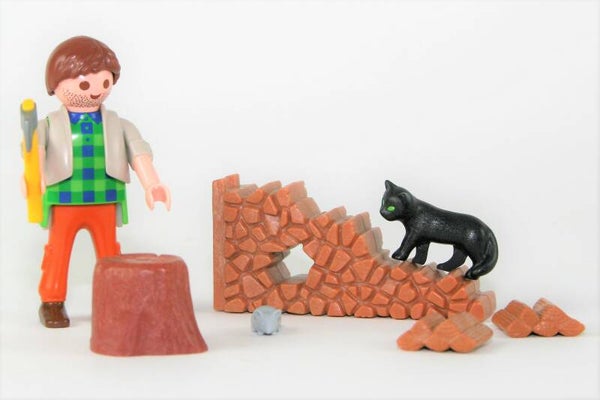 Playmobil Houthakker 5412