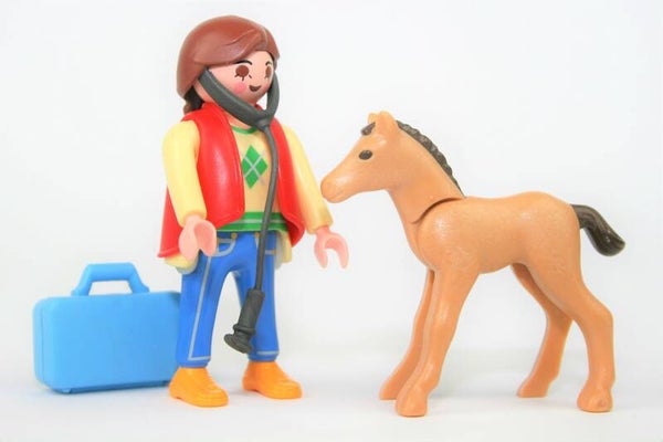 Playmobil Dierenarts met veulentje 5820