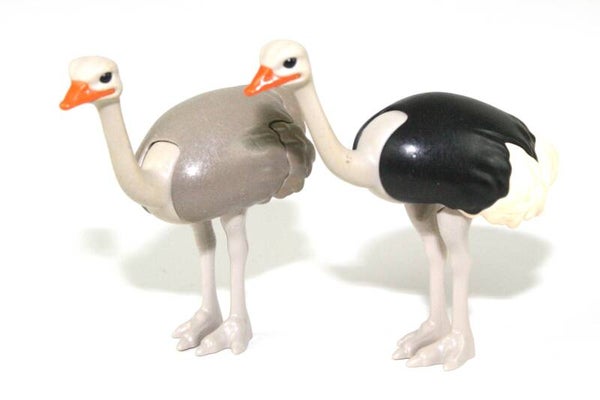 Playmobil Struisvogels 6260