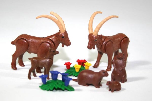 Playmobil Steenbokken en marmotten 6318