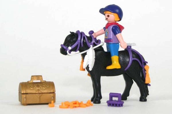 Playmobil Sterrenpony met verzorgster 6970