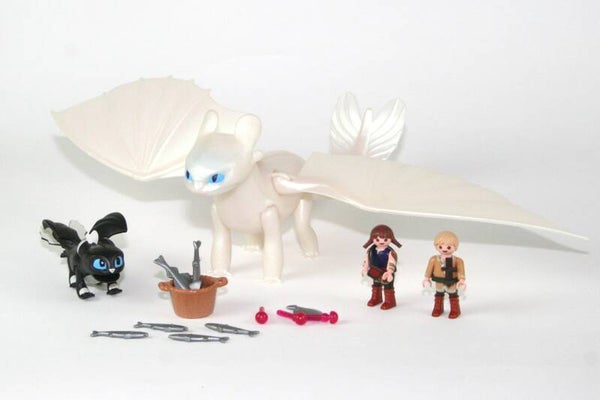 Playmobil Hoe tem je een draak Hemelfeeks 70038