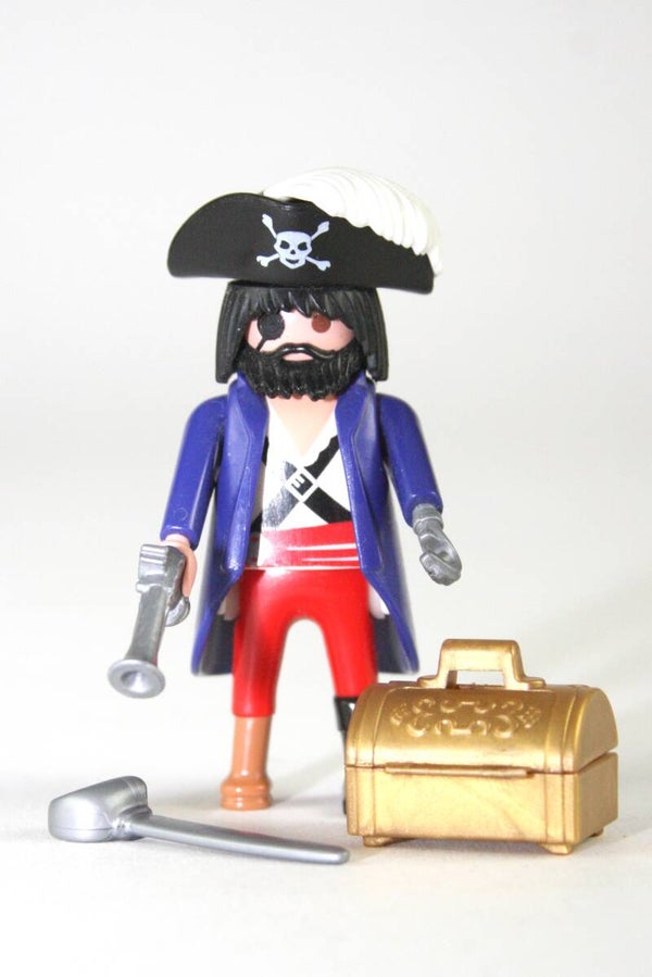 Playmobil Piraat 80541