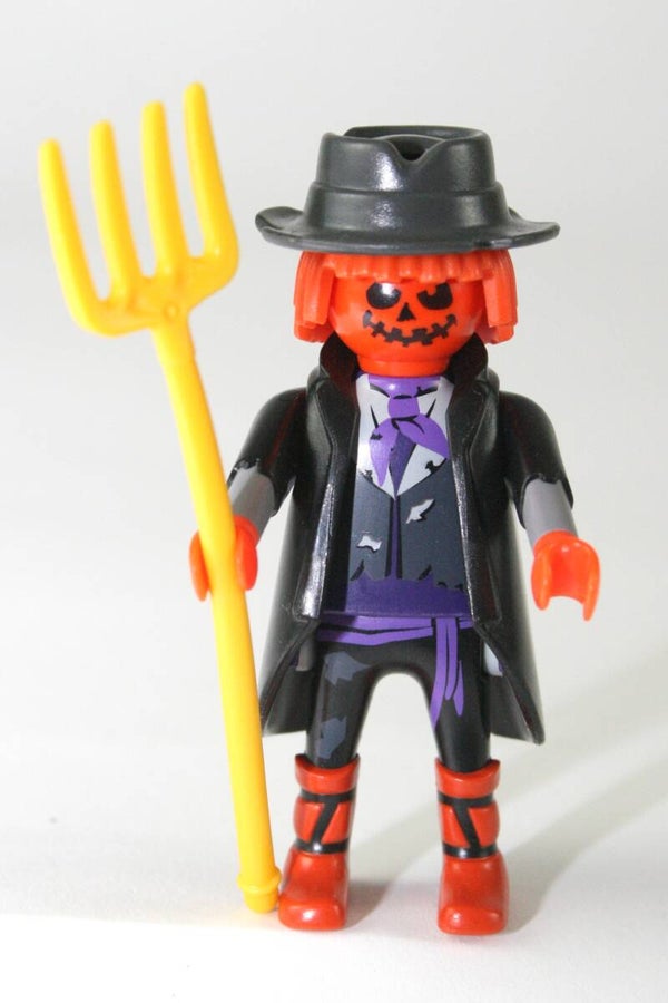 Playmobil Vogelverschrikker k 5243 g serie 3