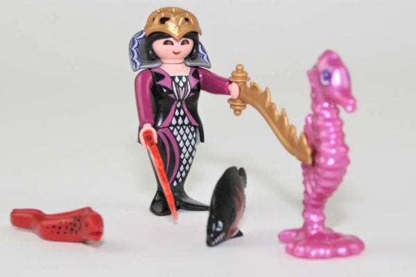 Playmobil Zeeheks 4816