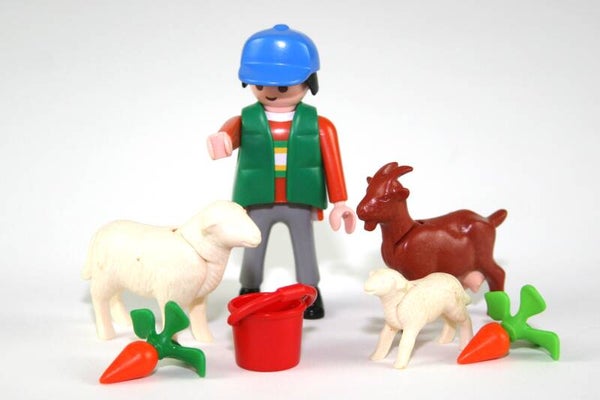 Playmobil Boer met geit en schapen 4967