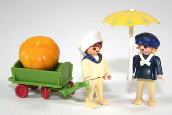 Playmobil Rosa kinderen met pompoenkar 5402