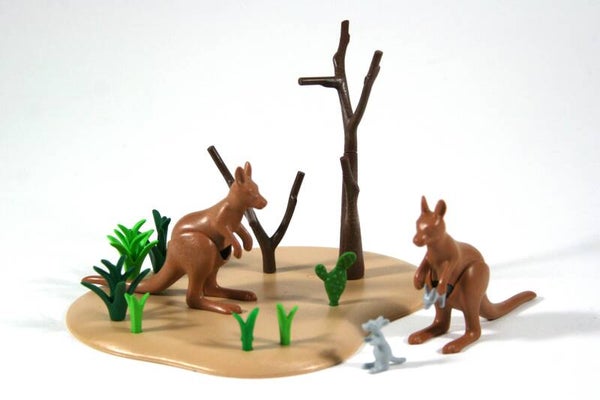 Playmobil Kangoeroe's in het wild 9873