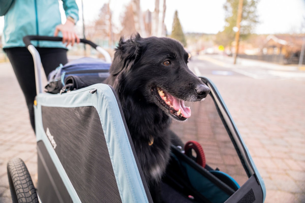 Burley Bark Ranger en Bark Ranger XL hondenfietskar