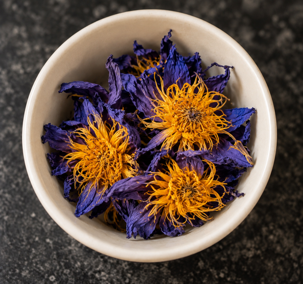 Blauwe Lotusbloem