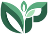 Nancy Popieul holistische gezondheid