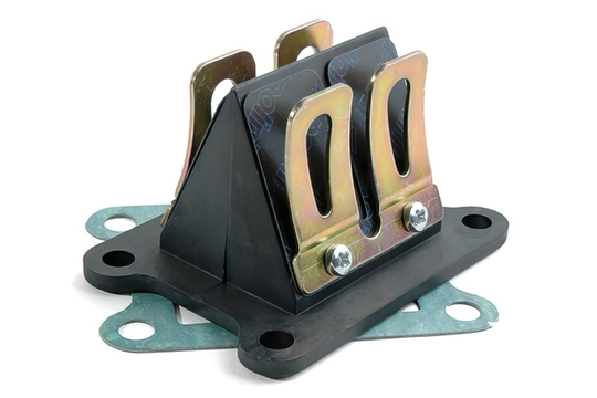 POLINI EVOLUTION REED VALVE CARBON FIBER RABASA