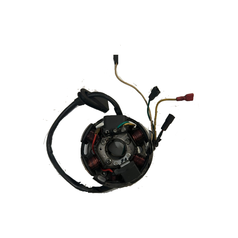 Ducati Stator and Base Plate AM6