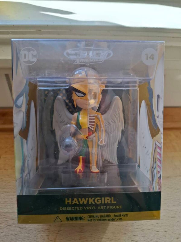 3#DN122 Hawkgirl dissected vinyl art figure, action