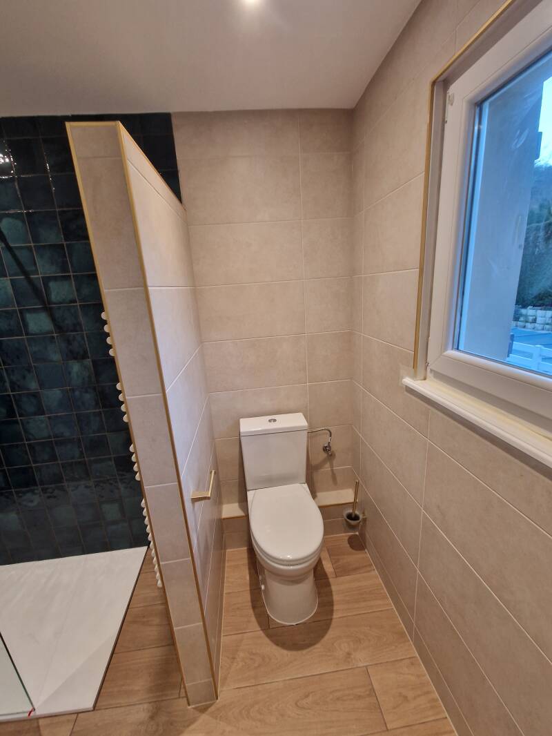 1000016589-standard.jpg