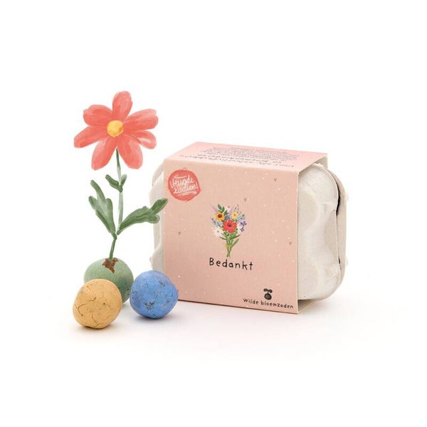 Cadeau | Bedankt | Wilde Bloemenzaden