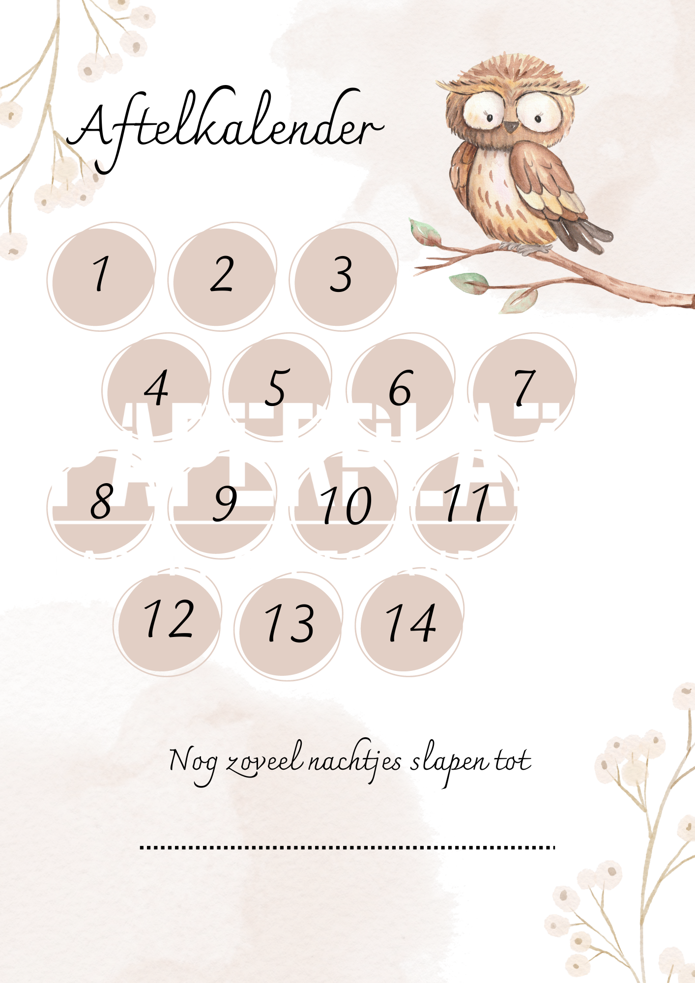 Aftelkalender | Meneer Uil